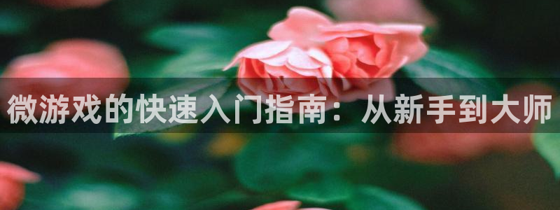 沐鸣娱乐2输钱了