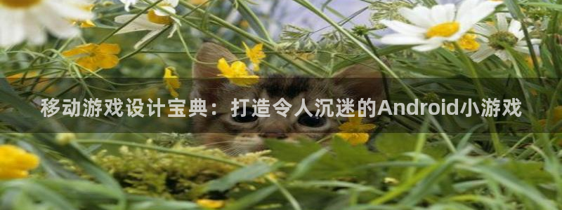 沐鸣2开户地址