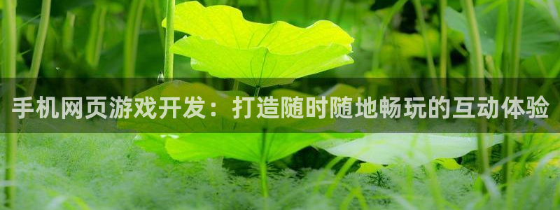 沐鸣娱乐2输钱了