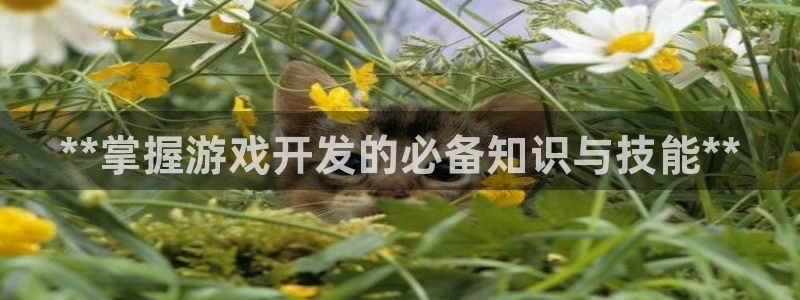 沐鸣2娱乐平台注册