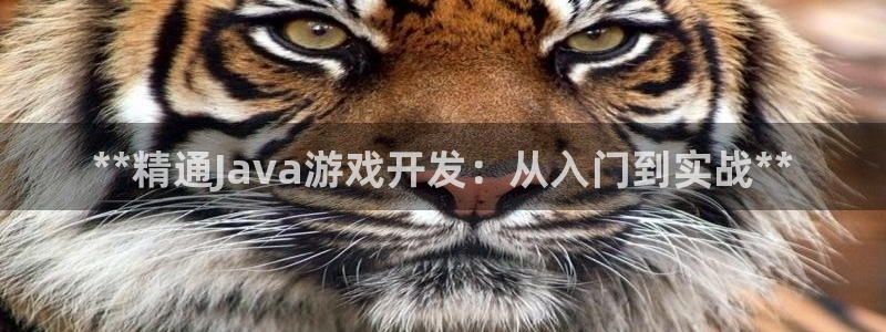 沐鸣娱乐2手机版