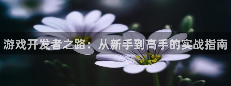 沐鸣娱乐2注册官网：游戏开发者之路：从新手到高手的实战指南