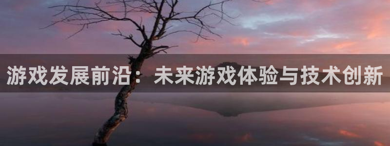 沐鸣2平台官网：游戏发展前沿：未来游戏体验与技术创新