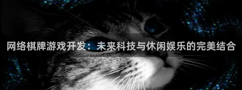沐鸣2平台官方注册登录：网络棋牌游戏开发：未来科技与休闲娱乐的完美结合