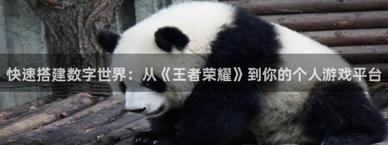 沐鸣2客服：快速搭建数字世界：从《王者荣耀》到你的个人游戏平台
