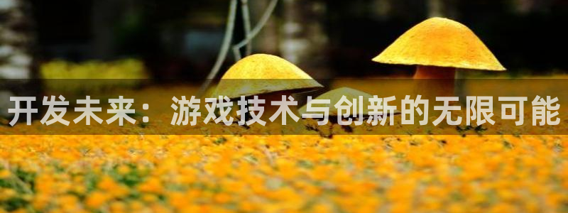 沐鸣2注册丘27337：开发未来：游戏技术与创新的无限可能