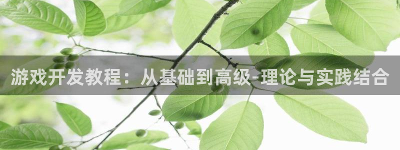 沐鸣娱乐2返点：游戏开发教程：从基础到高级-理论与实践结合