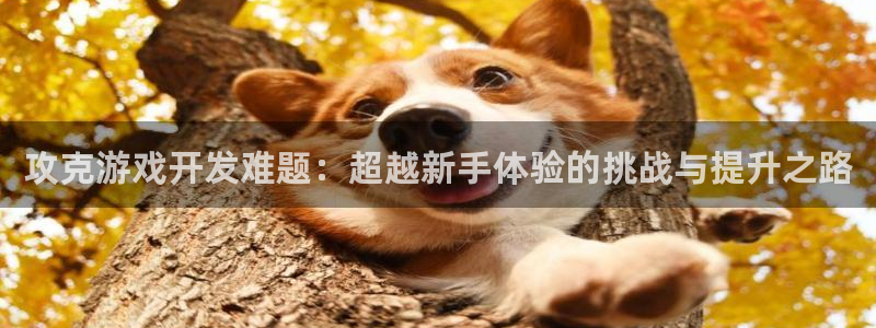 沐鸣娱乐2登录平台是什么：攻克游戏开发难题：超越新手体验的挑战与提升之路