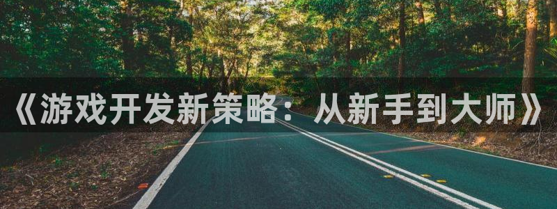沐鸣2测速登陆：《游戏开发新策略：从新手到大师》