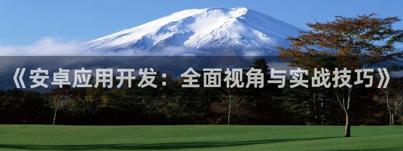 沐鸣娱乐2登入：《安卓应用开发：全面视角与实战技巧》