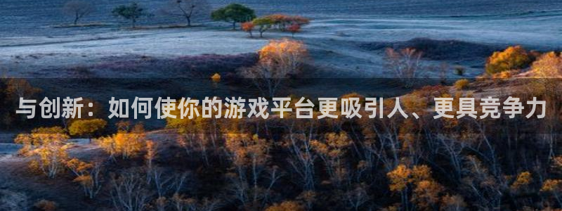 沐鸣2开户地址：与创新：如何使你的游戏平台更吸引人、更具竞争力