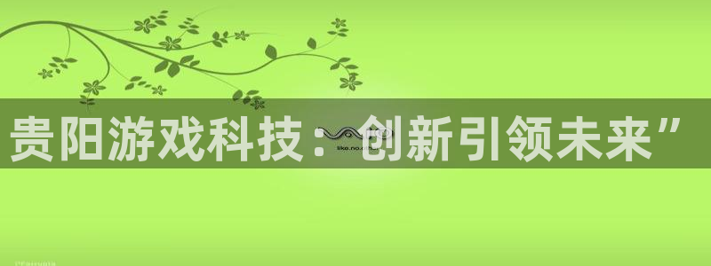 沐鸣娱乐2官方网站：贵阳游戏科技：创新引领未来”