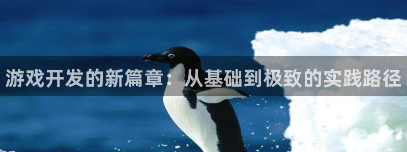 沐鸣2客服：游戏开发的新篇章：从基础到极致的实践路径