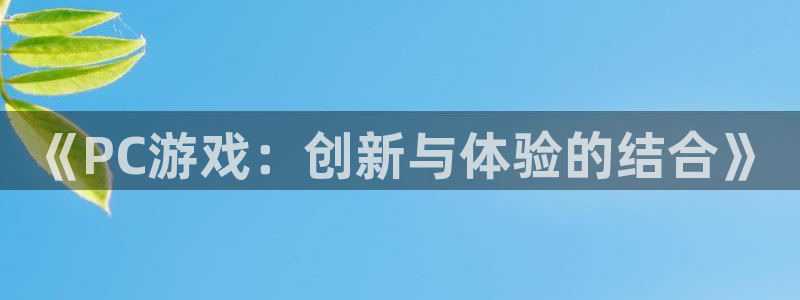 沐鸣2代理：《PC游戏：创新与体验的结合》