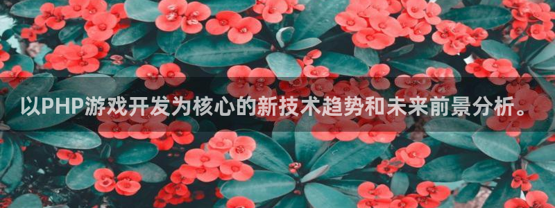 沐鸣2娱乐平台注册：以PHP游戏开发为核心的新技术趋势和未来前景分析。