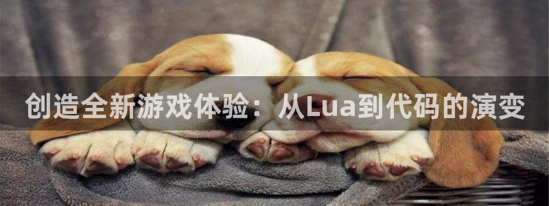沐鸣娱乐2官方网站：创造全新游戏体验：从Lua到代码的演变