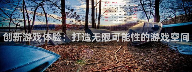 沐鸣娱乐臼44262：创新游戏体验：打造无限可能性的游戏空间