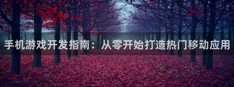 沐鸣2平台注册流程：手机游戏开发指南：从零开始打造热门移动应用