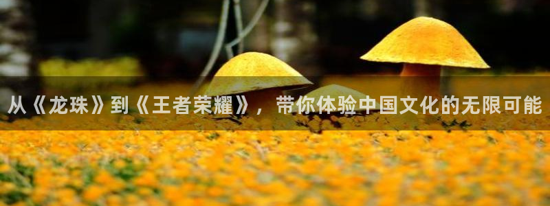 沐鸣2开户：从《龙珠》到《王者荣耀》，带你体验中国文化的无限可能